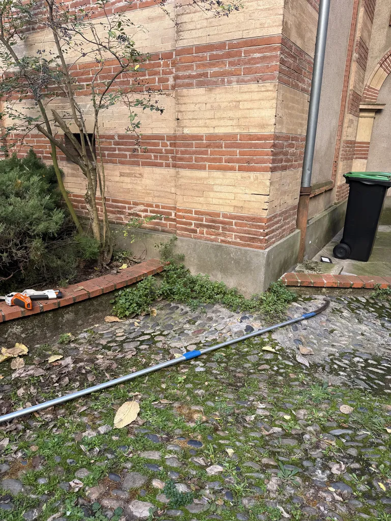 Entretien d’espaces verts en copropriété à Toulouse hyper centre proche de Balma taille de cyprès
