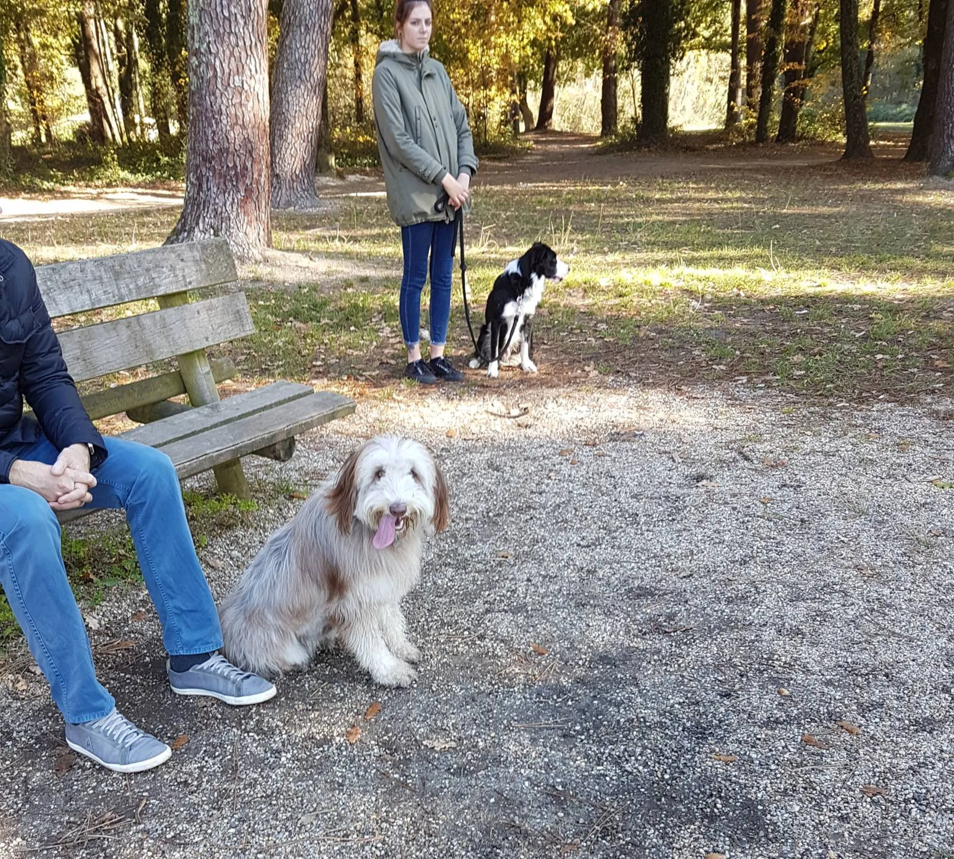 meilleur educateur canin dans le 33