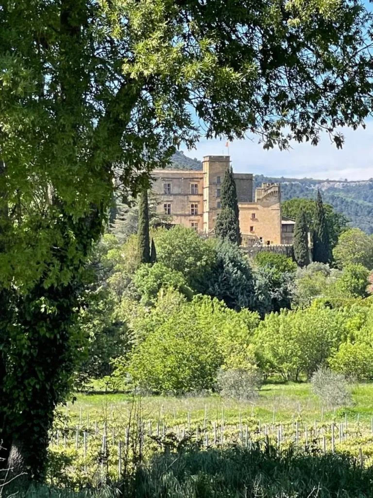 Rénovation et Décoration de Prestige à Lourmarin – Inspirations d'Intérieurs