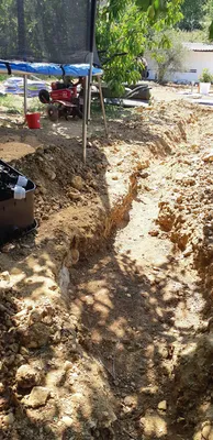 plantes avec entretien facile pour maison var