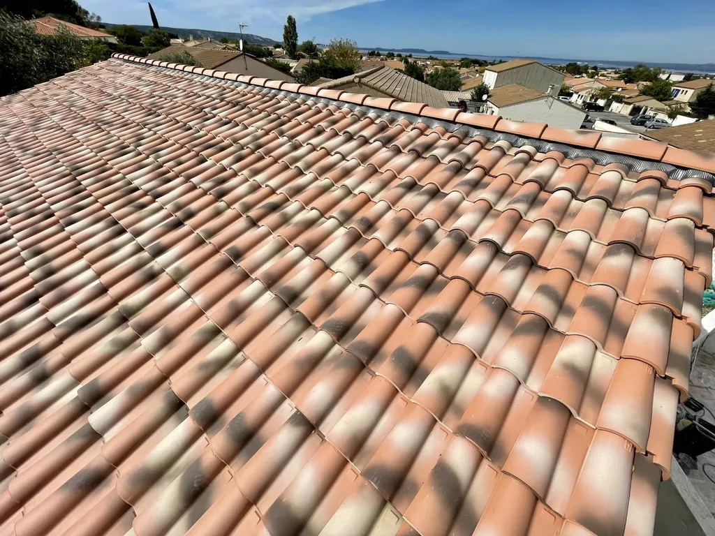Charpente industrielle avec tuiles mécanique près du rove 13740