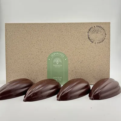 Coffret Terrakoa cabosses guimauves enrobées de chocolat noir 75 % cacao Madagascar confiseries artisanales fabriquées à Marseille