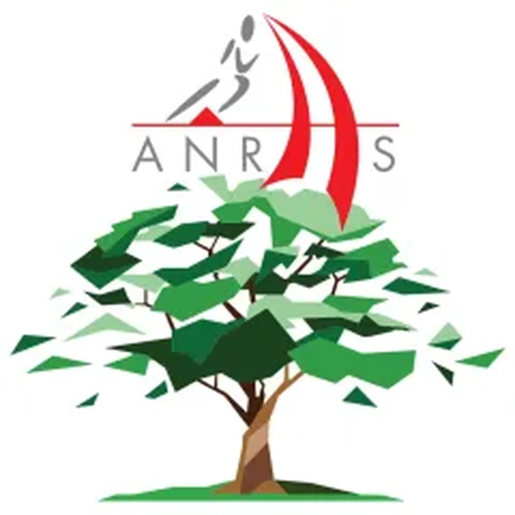 Anras chêne vert