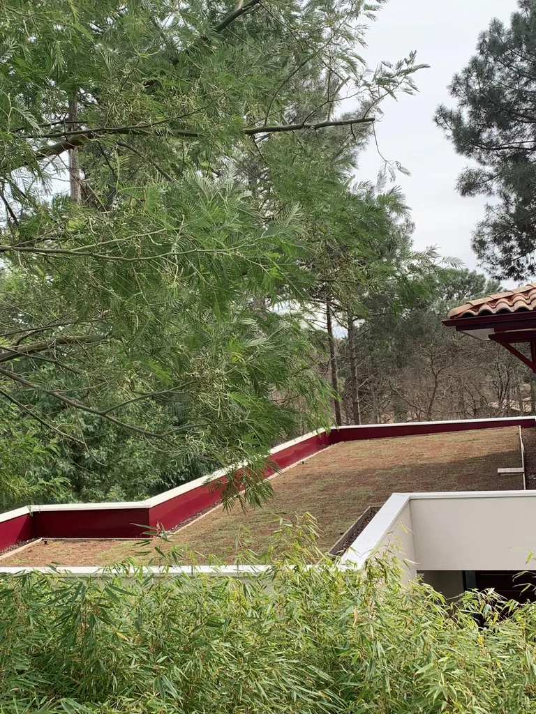 Installer toiture végétalisée par un professionnel à Biscarrosse