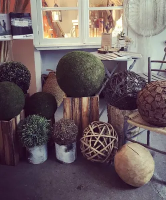 location de boules végétales