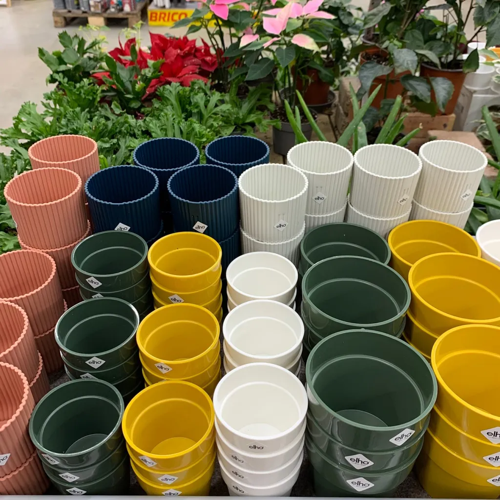 Pots de fleurs et plantes