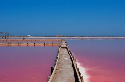 Journée découverte en Camargue : croisière à Aigues-Mortes, visite des manades de taureaux avec démonstration des gardians, déjeuner à bord et exploration des Salins de Camargue en petit train