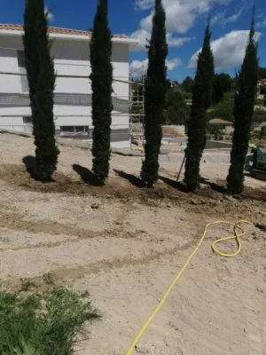Quels arbustes choisir pour réaliser une haie brise vent à Bouc Bel Air Quels arbustes choisir pour réaliser une haie brise vent à Bouc Bel Air