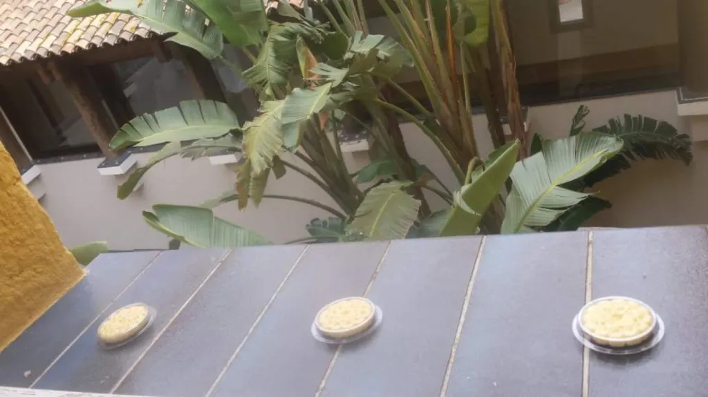 Gel anti pigeon sur fenêtres à Aix en Provence 13100