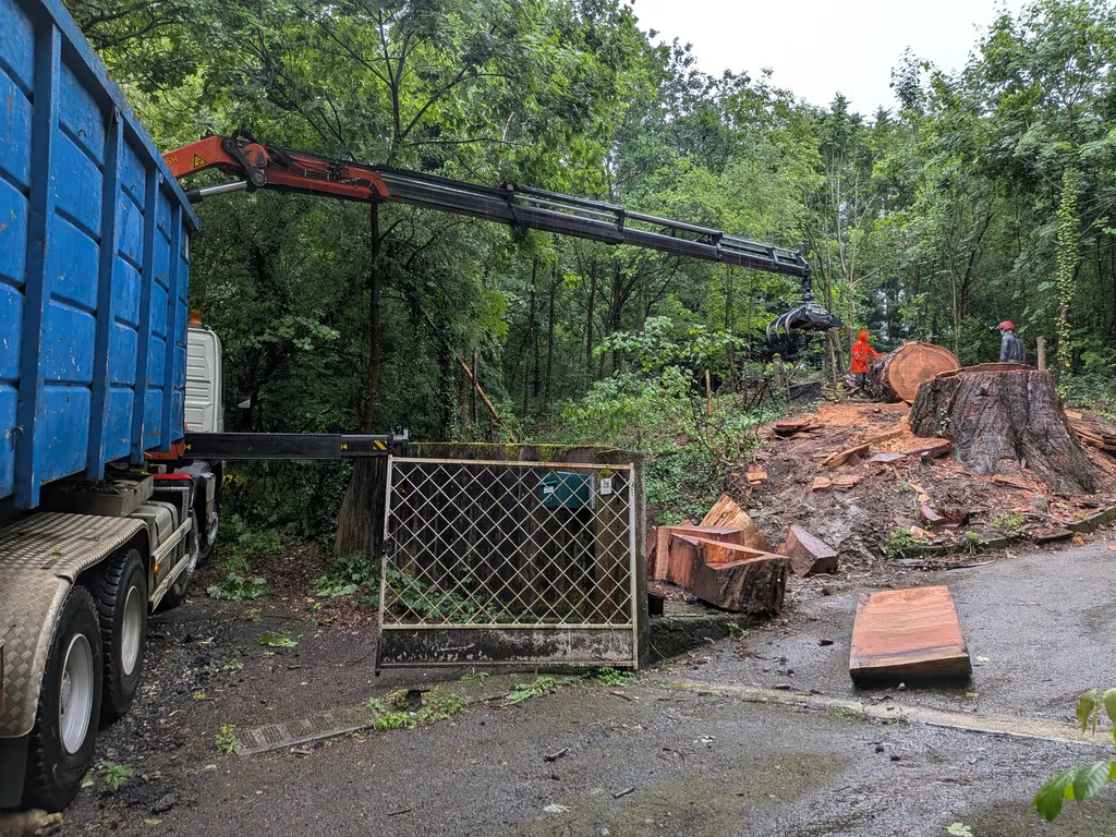 Paysagiste pour un abattage de séquoia centenaire avec démontage par grue à Trévoux près de Villefranche-sur-Saône