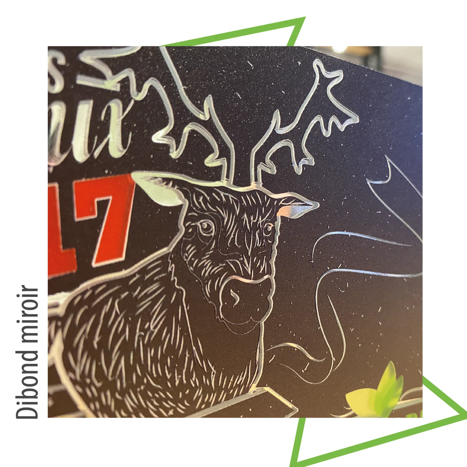 VOS VITRINES DE NOËL AVEC AGG PRINT