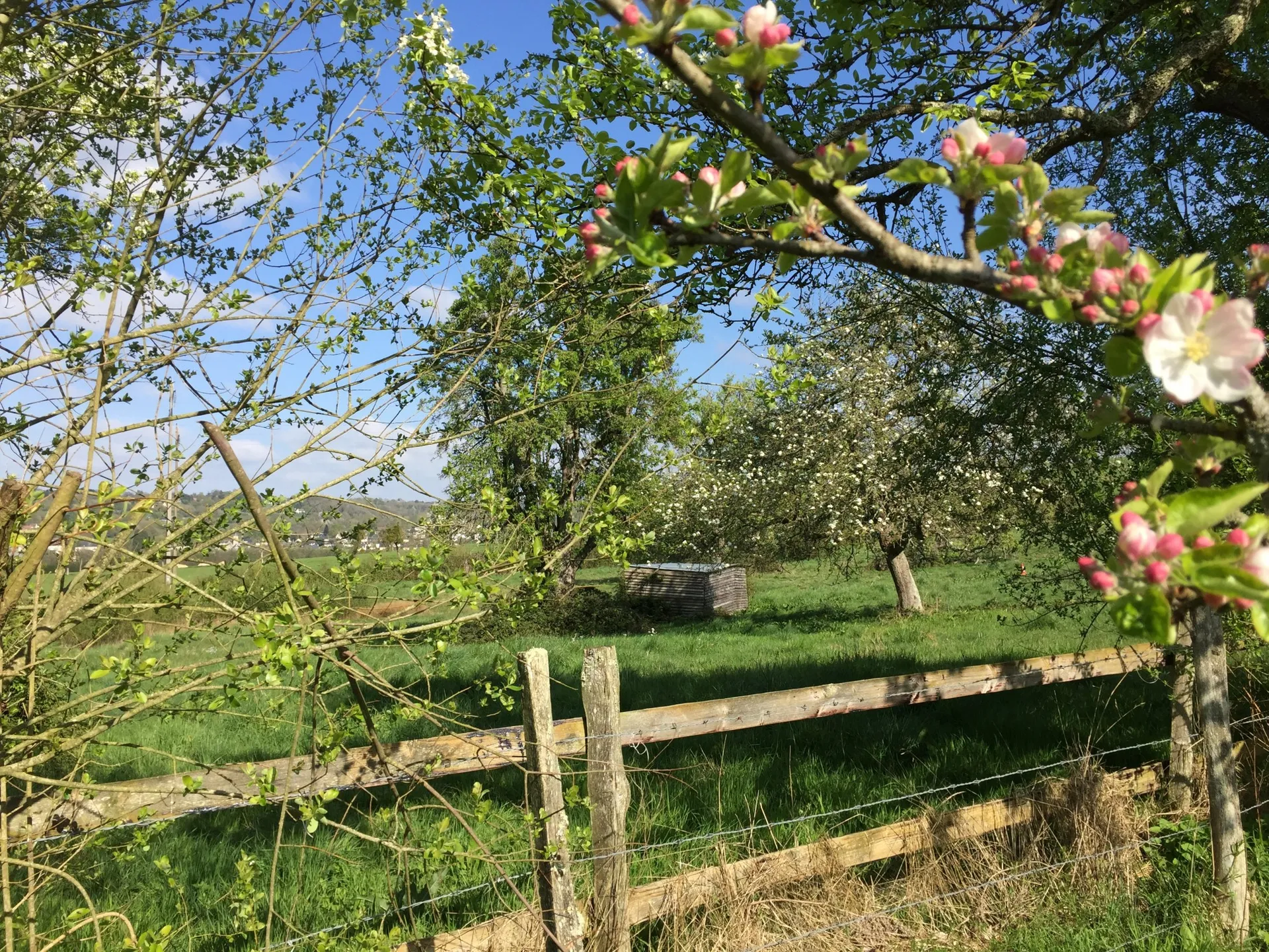 vente maison lisieux