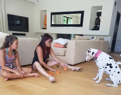 educateur de chien a domicile