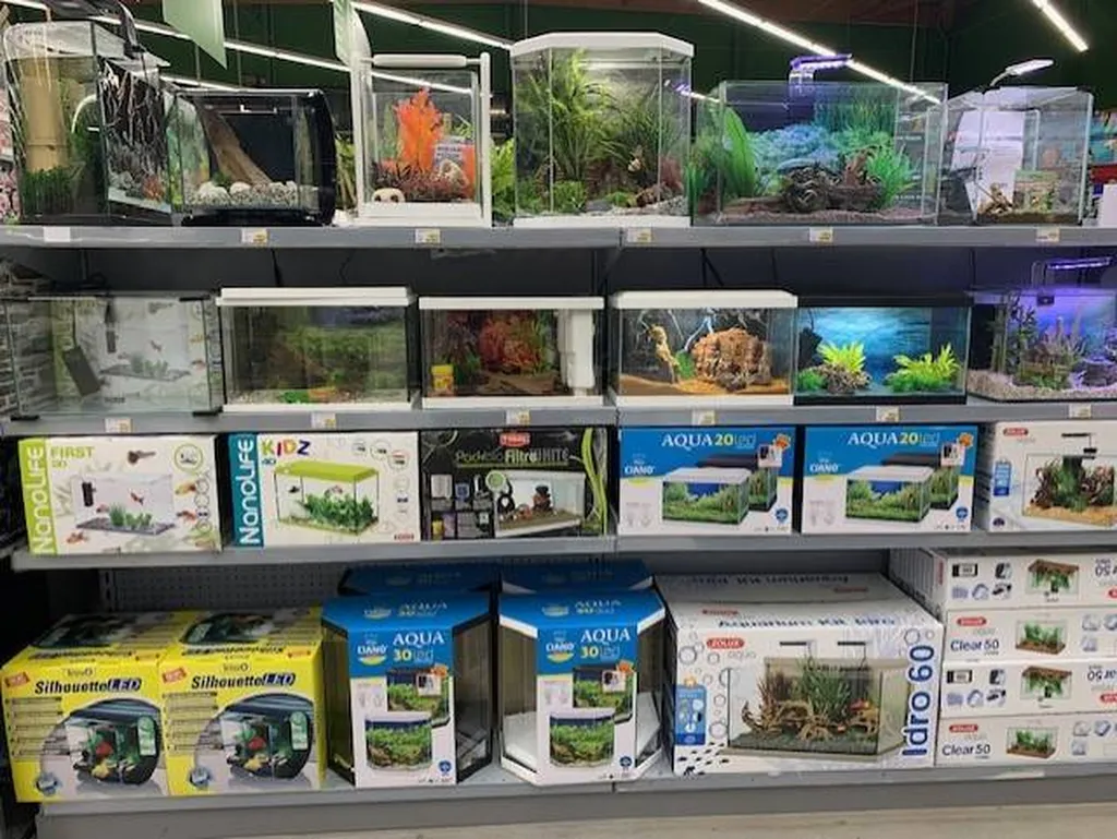 Acheter des poissons d'eau douce à proximité de Saint-Romain-de-Colbosc 76