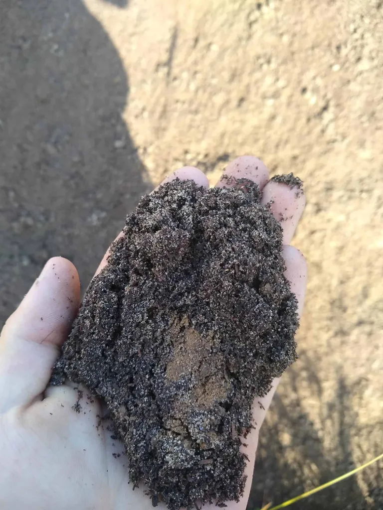 Réalisation d’une pelouse en gazon de placage à Manneville-la-Goupil