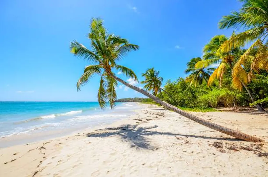 Expédier des courriers et colis express depuis la France métropolitaine vers La Martinique et les DROM-COM