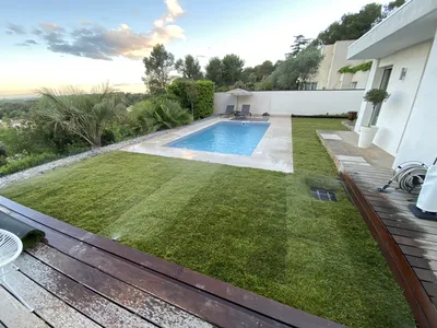 Gazon Naturels en Plaques 