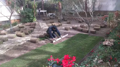 pelouse plaque marseille