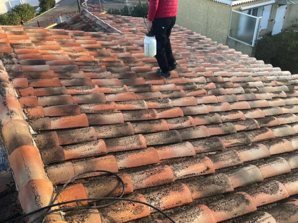 Intervention de couvreur pour un nettoyage de tuiles de toiture de maison près de Martigues 