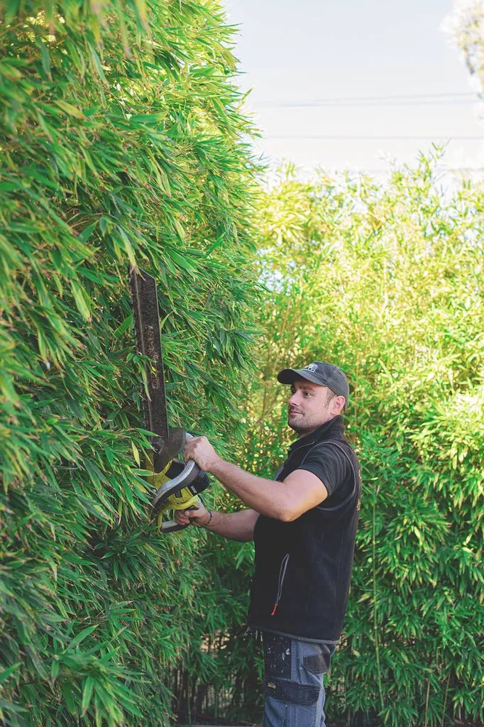 Jardinage : Où trouver un jardinier expérimenté pour taille de haies à Sanary sur mer ?