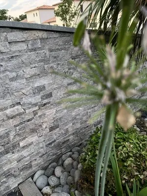 PAREMENT TRAVERTIN SILVER