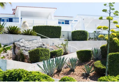 Aménagement de jardin en pente raide dans le Vaucluse