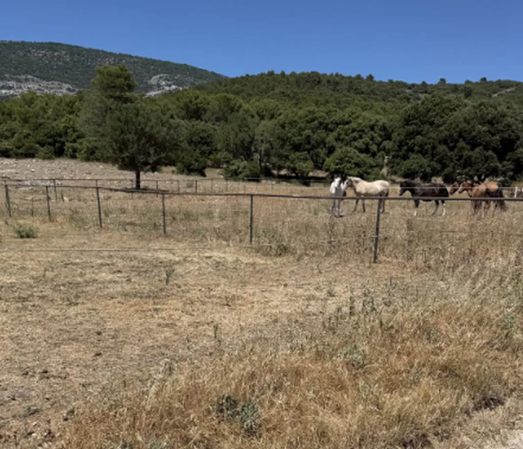 Randonnée en quad avec VISITE de bergerie et achat de fromage de chèvre artisanal au pied de la Sainte-Baume près d'Aubagne