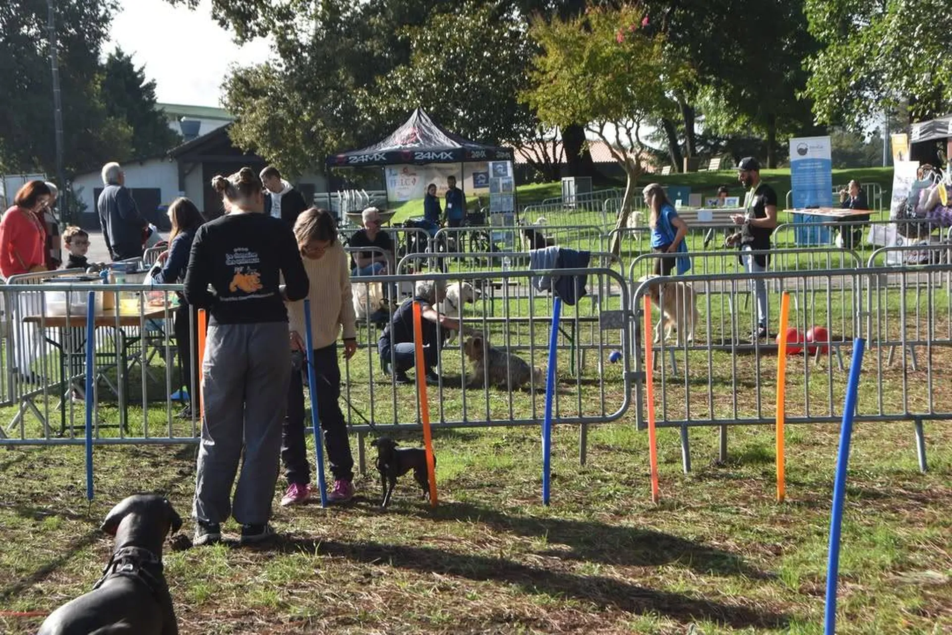 salon du chien gironde 