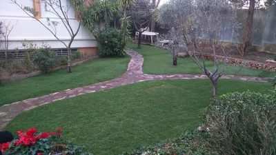 Pose et entretien de pelouse à Marseille et dans les Bouches du Rhône