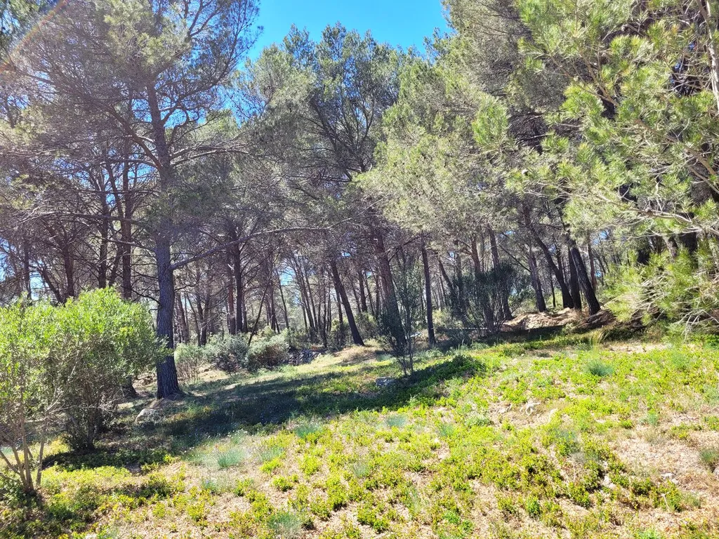 Vendu - Terrain constructible de 3000m² à Ventabren dans le Pays d'AixVendu