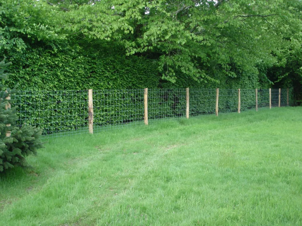 Protection d'une propriété contre les sangliers à tourgeville dans le Calvados 14
