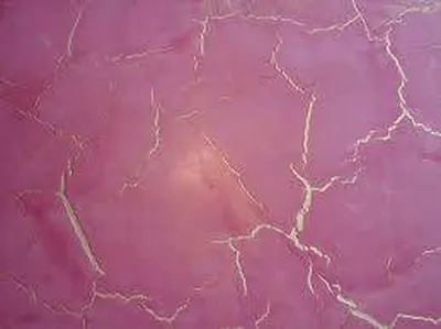 STUCCO CRAQUELE RESIDENCE PARIS