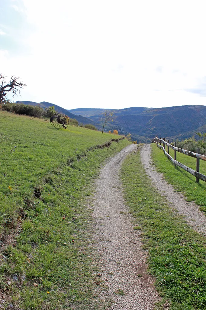 En Drôme provençale, à vendre, beau mas de caractère avec piscine    