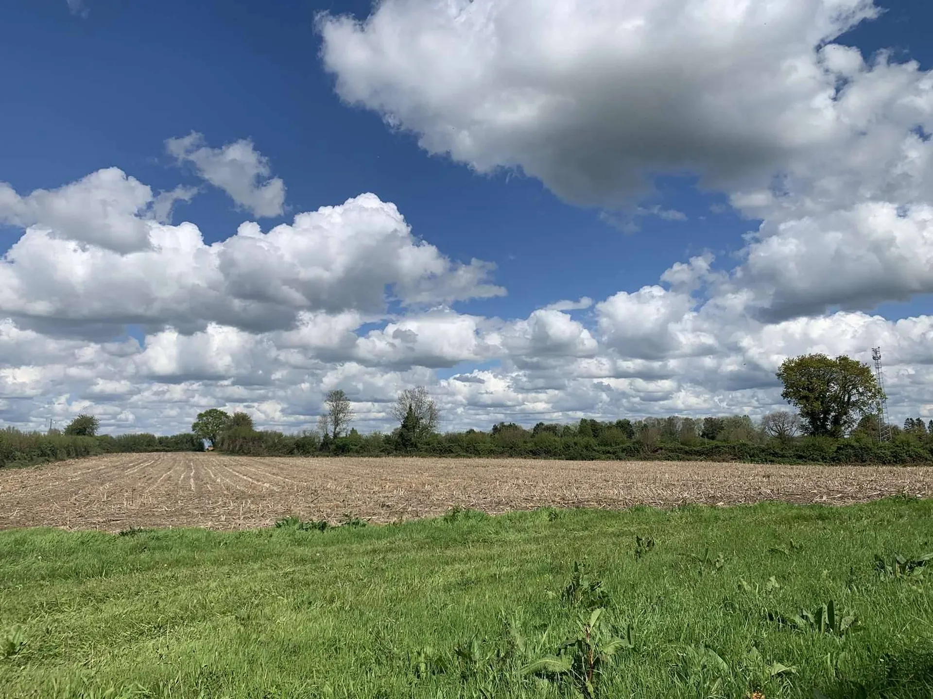 PAYS D'AUGE NORD : EN EXCLUSIVITE : A ACQUERIR REGION HONFLEUR : 35 HA de TERRES