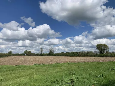 PAYS D'AUGE NORD : EN EXCLUSIVITE : A ACQUERIR REGION HONFLEUR : 35 HA de TERRES