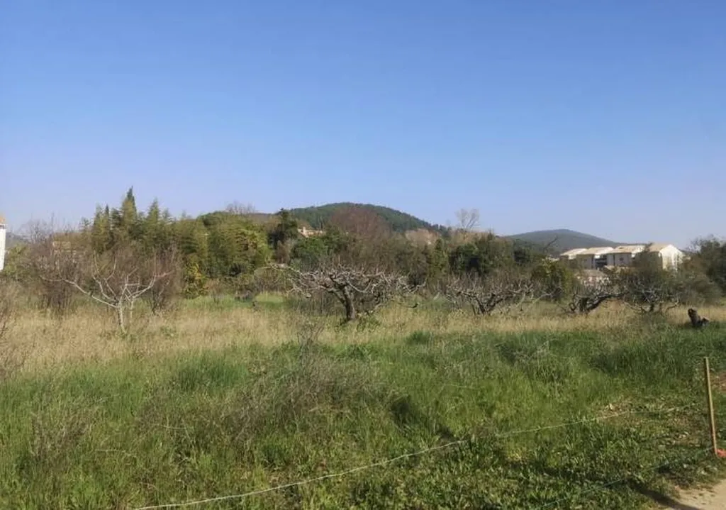 grand terrain plat à bâtir sur Solliès-Pont