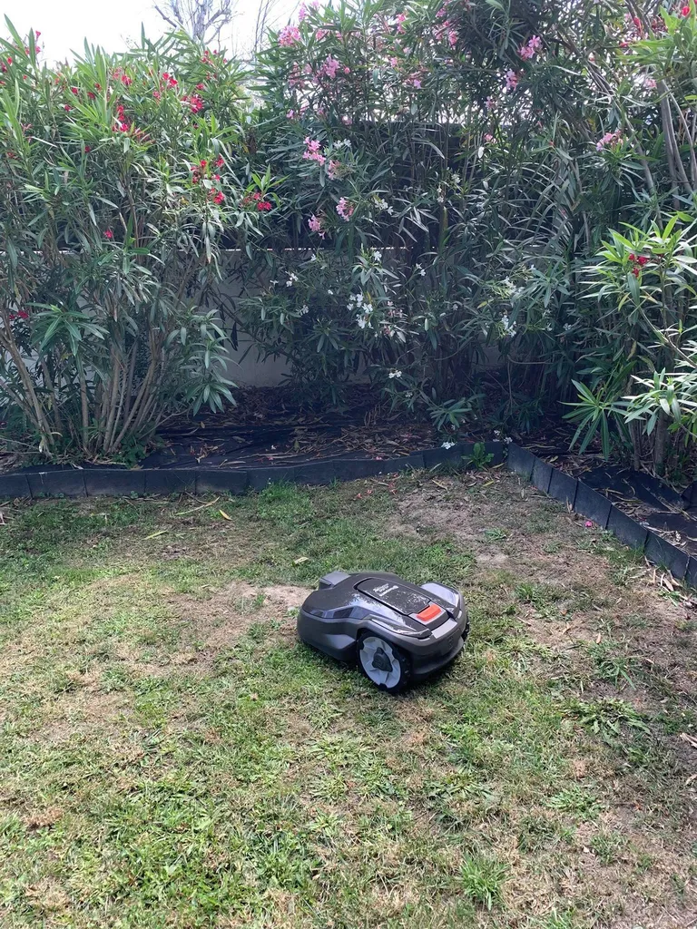 Entretien automatique de mon jardin par un professionnel grâce au robot tondeuse près de Aureilhan