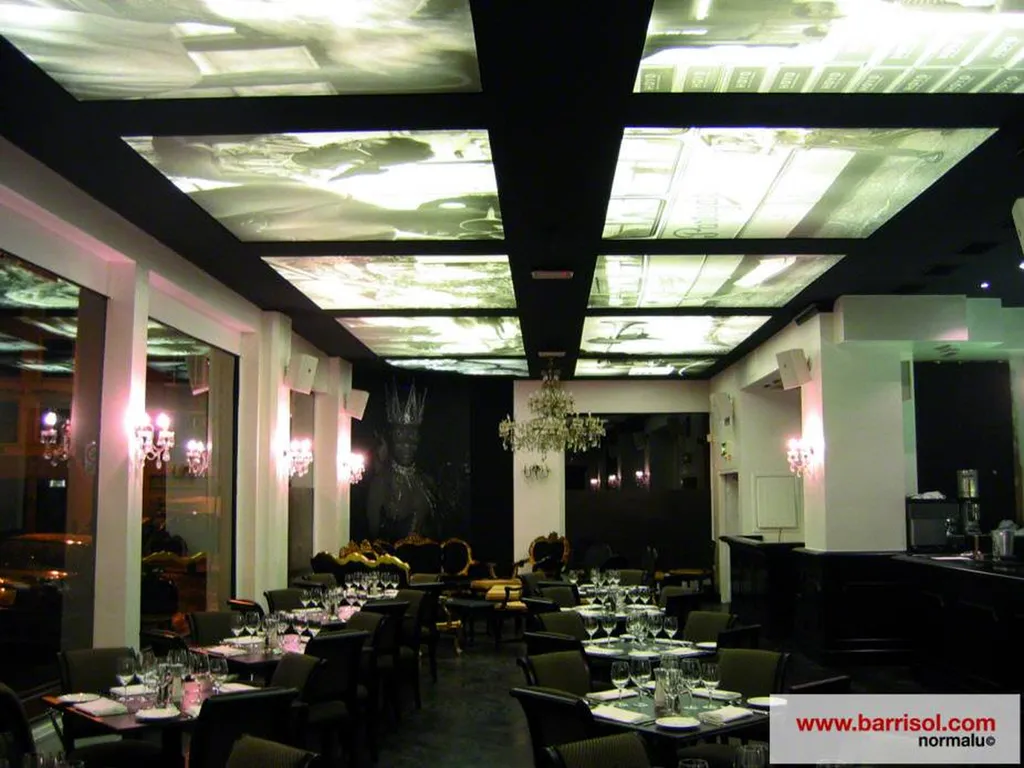 Artisan pour création de faux plafonds ou rénovation de plafond pour restaurant sur Tarbes