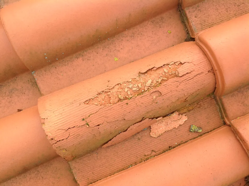 Toiture en tuiles présentant des mousses et signes d’usure avant intervention de nettoyage et traitement hydrofuge à Toulouse.