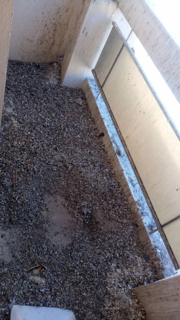 merde de pigeon sur balcon istres