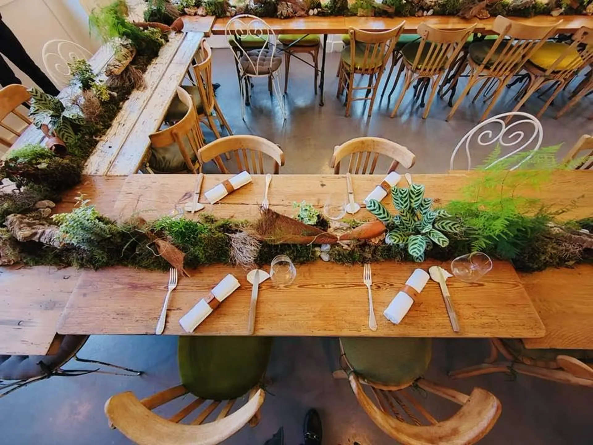 décoration vegetal pour evenement corporatif