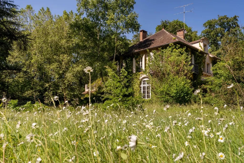 appartement à vendre avec vue sur la foret de fontainebleau