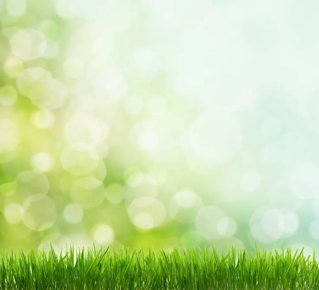 Création d'un jardin avec allée pavée à Aix en Provence