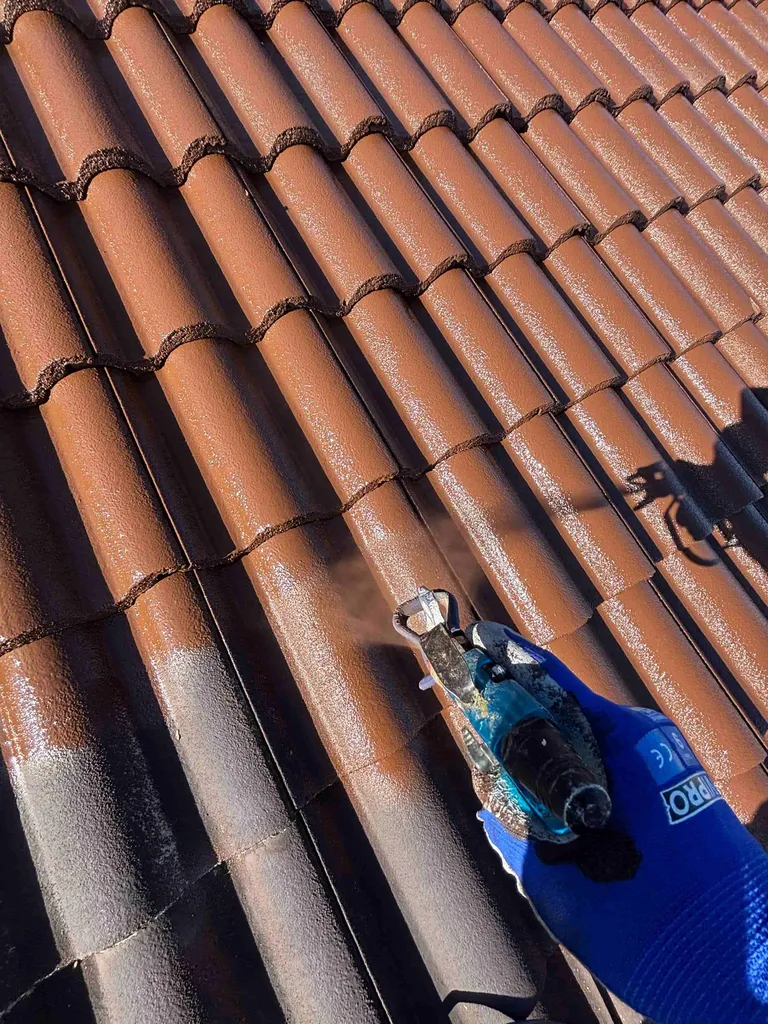 Nettoyage Toiture et Hydrofuge, Coloré à Pau