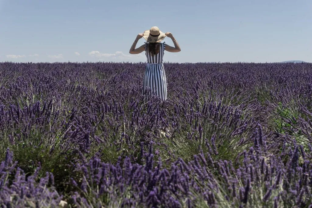 Managing your guests in Provence