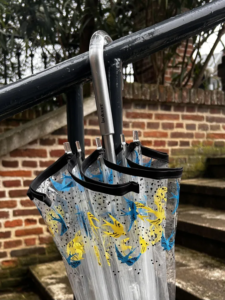 Parapluie Isotoner cloche transparent PVC/Hirondelles disponible chez Evasion Eu