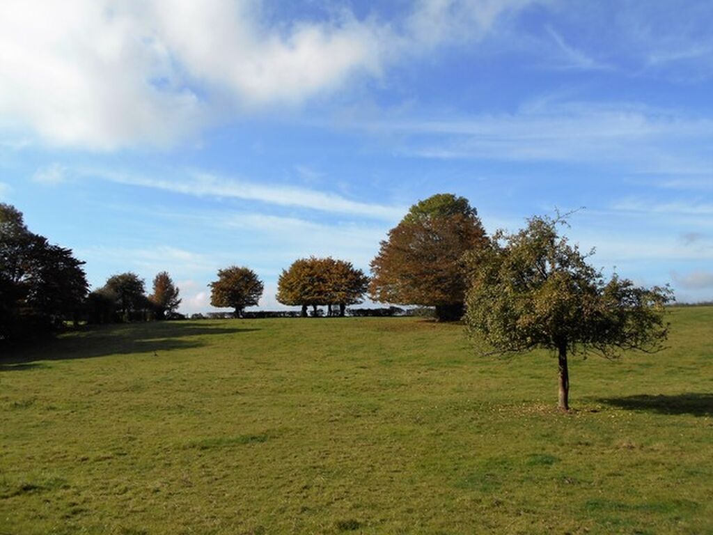 Acheter une maison à Lyons la Forêt