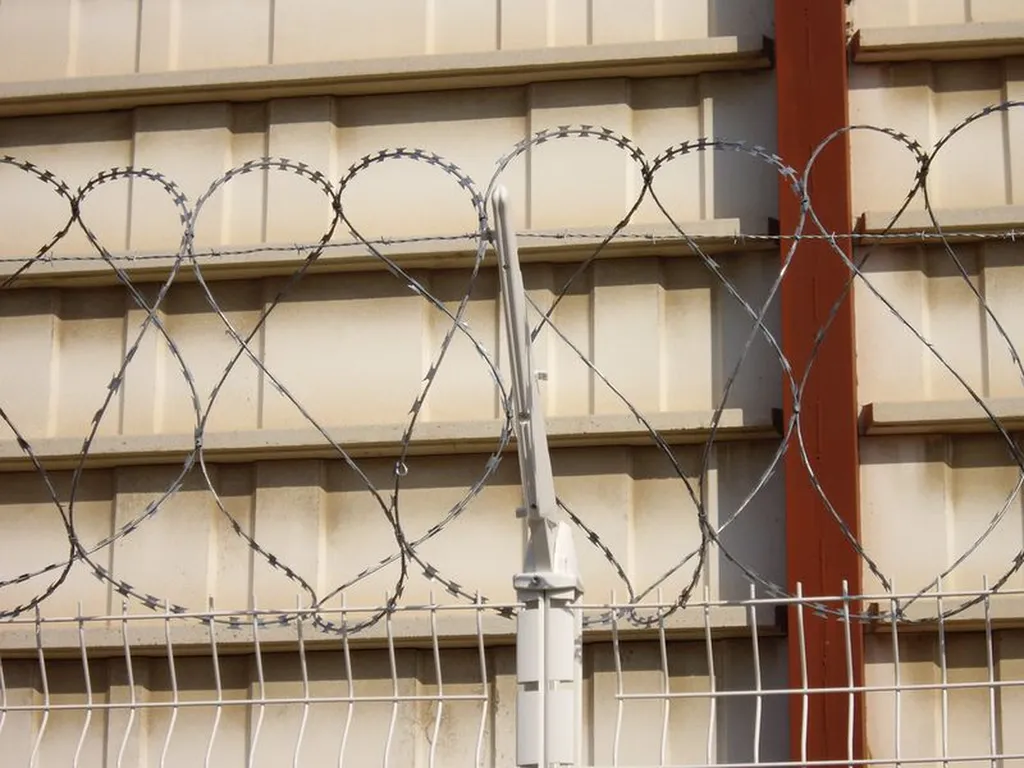 bavolet et reseau tigre sur vitrolles