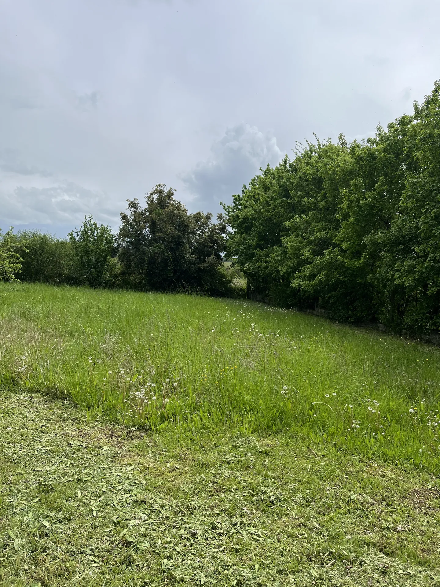 Terrain à bâtir avec constructeur proche Galgon et Libourne