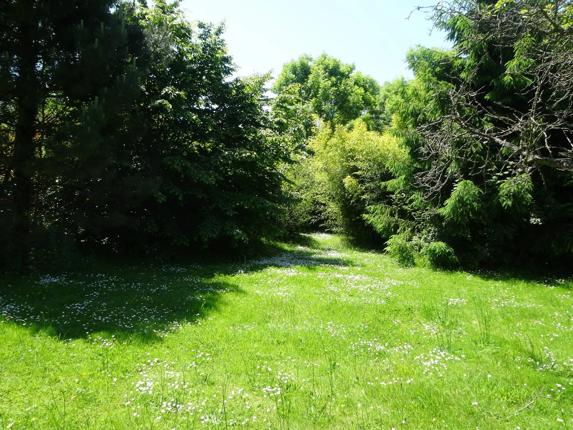 VENTE MAISON PONT-L'EVEQUE 14130